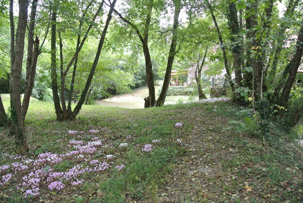 Bazens Moulin De Repassat Etape Voie Verte מראה חיצוני תמונה